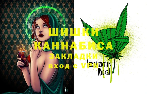 ГАЛЛЮЦИНОГЕННЫЕ ГРИБЫ Алзамай