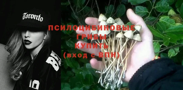ГАЛЛЮЦИНОГЕННЫЕ ГРИБЫ Алзамай