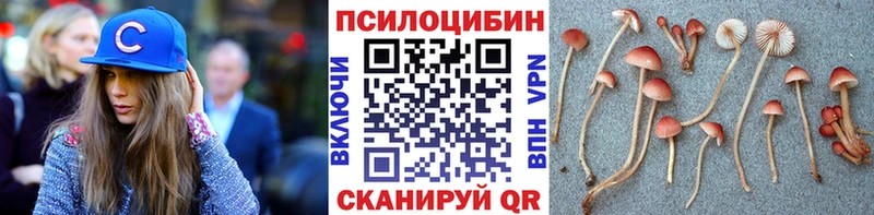 Галлюциногенные грибы Psilocybine cubensis закладка Спасск